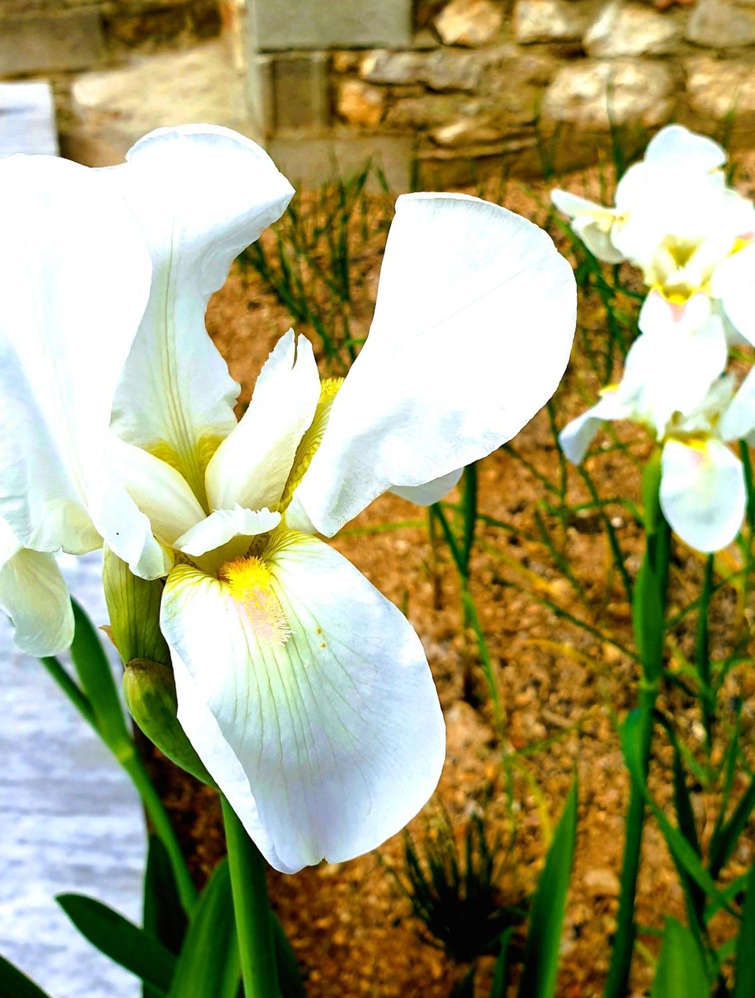 Philoxenia Guest House Himare Bagian luar foto