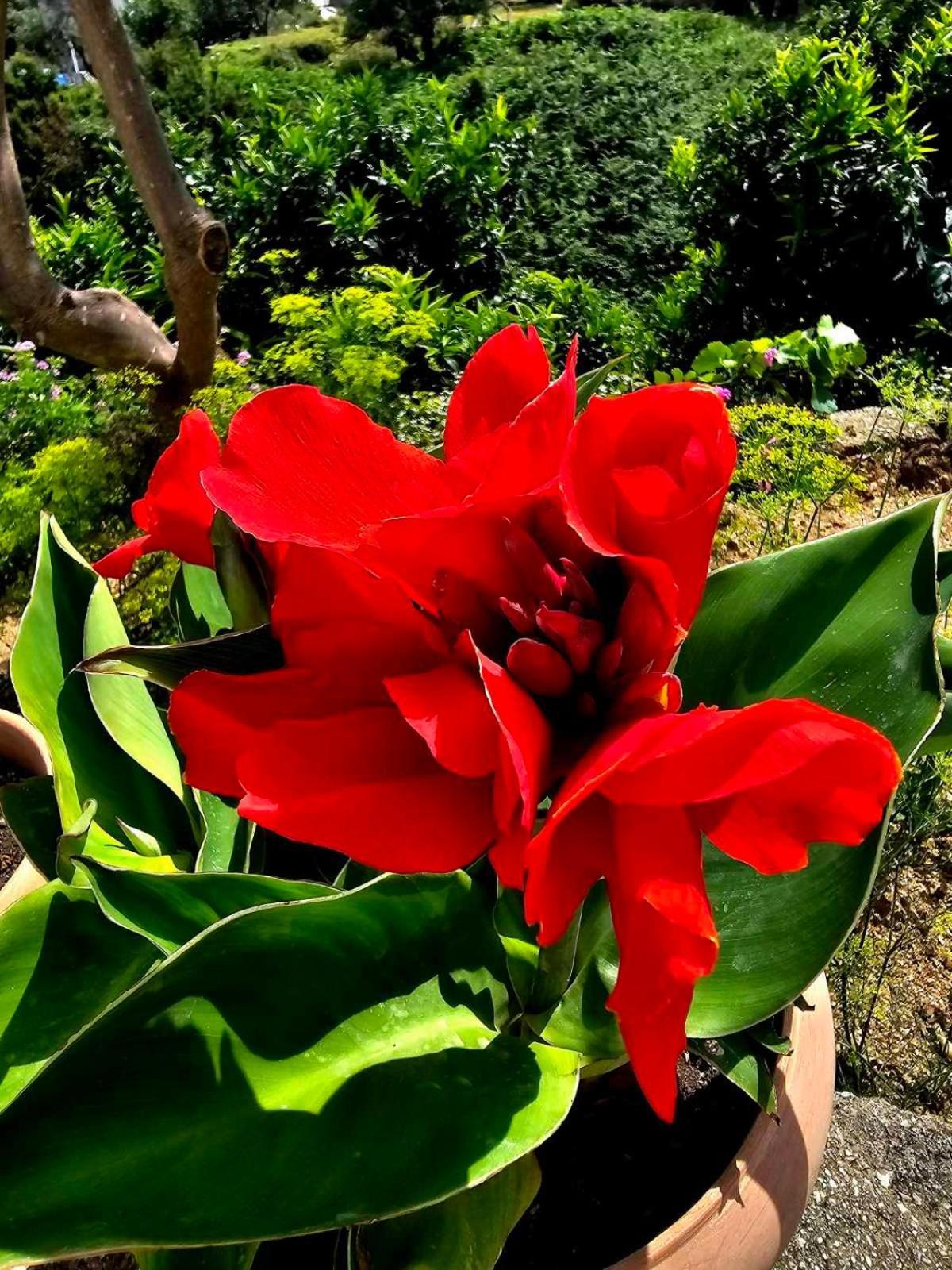 Philoxenia Guest House Himare Bagian luar foto