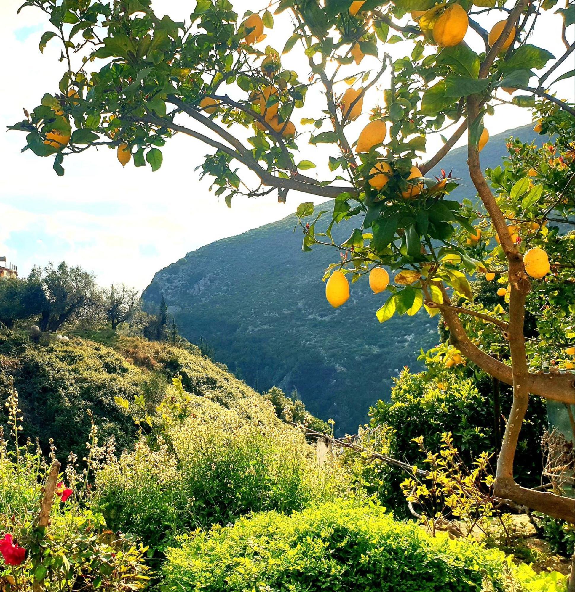 Philoxenia Guest House Himare Bagian luar foto
