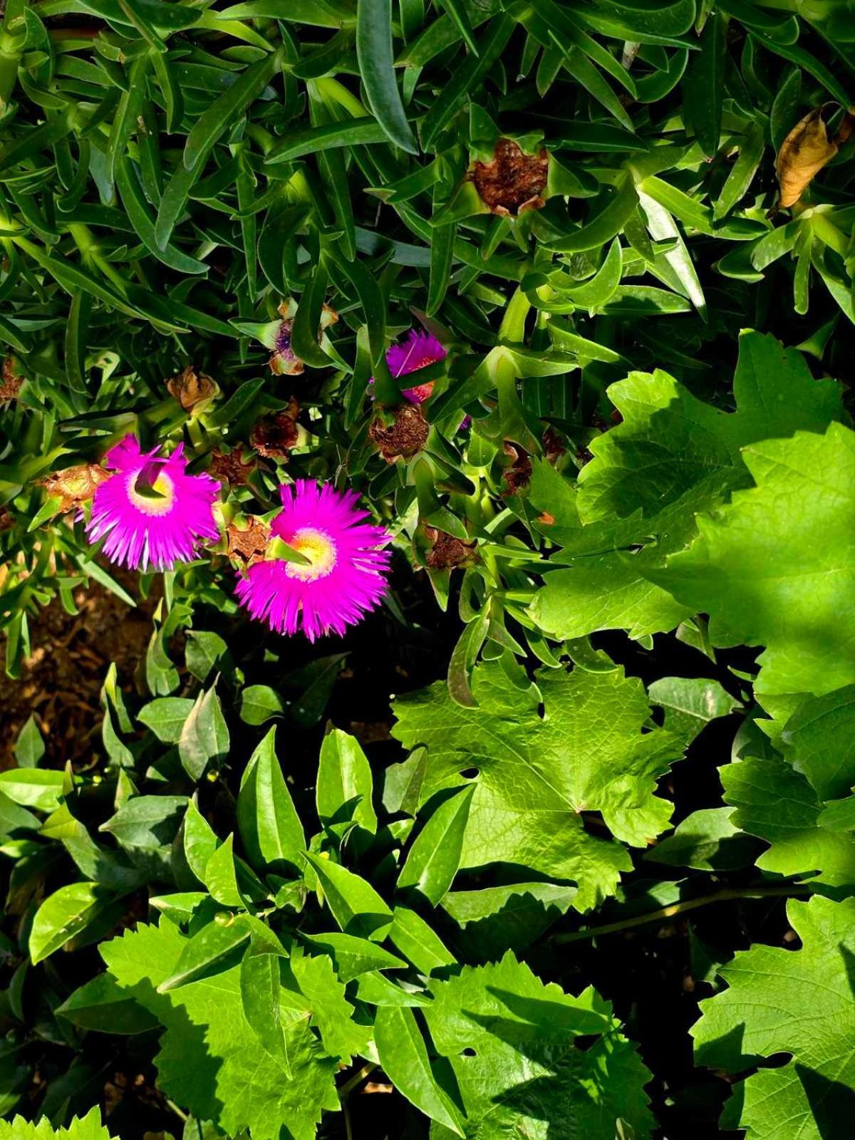 Philoxenia Guest House Himare Bagian luar foto