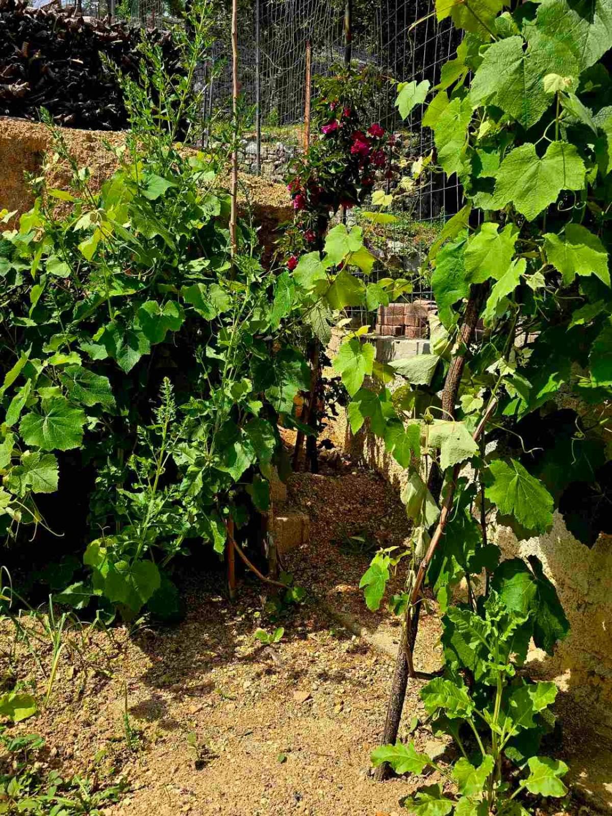 Philoxenia Guest House Himare Bagian luar foto